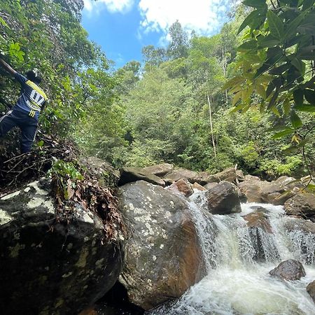 Rainforest Cabin Deniyaya Dış mekan fotoğraf