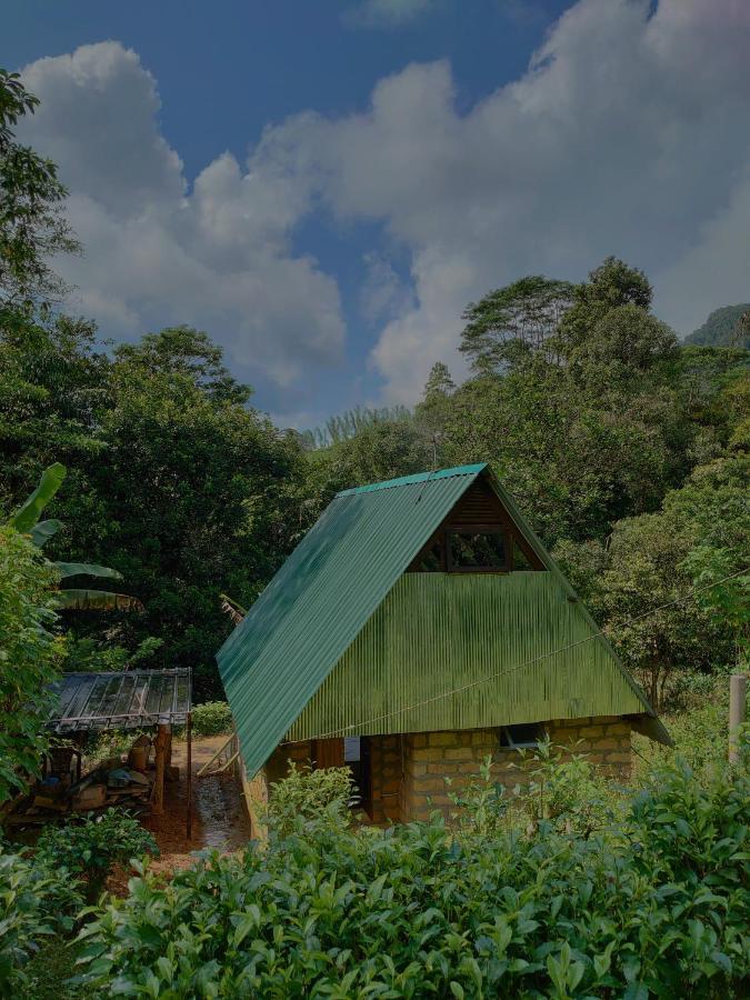 Rainforest Cabin Deniyaya Dış mekan fotoğraf
