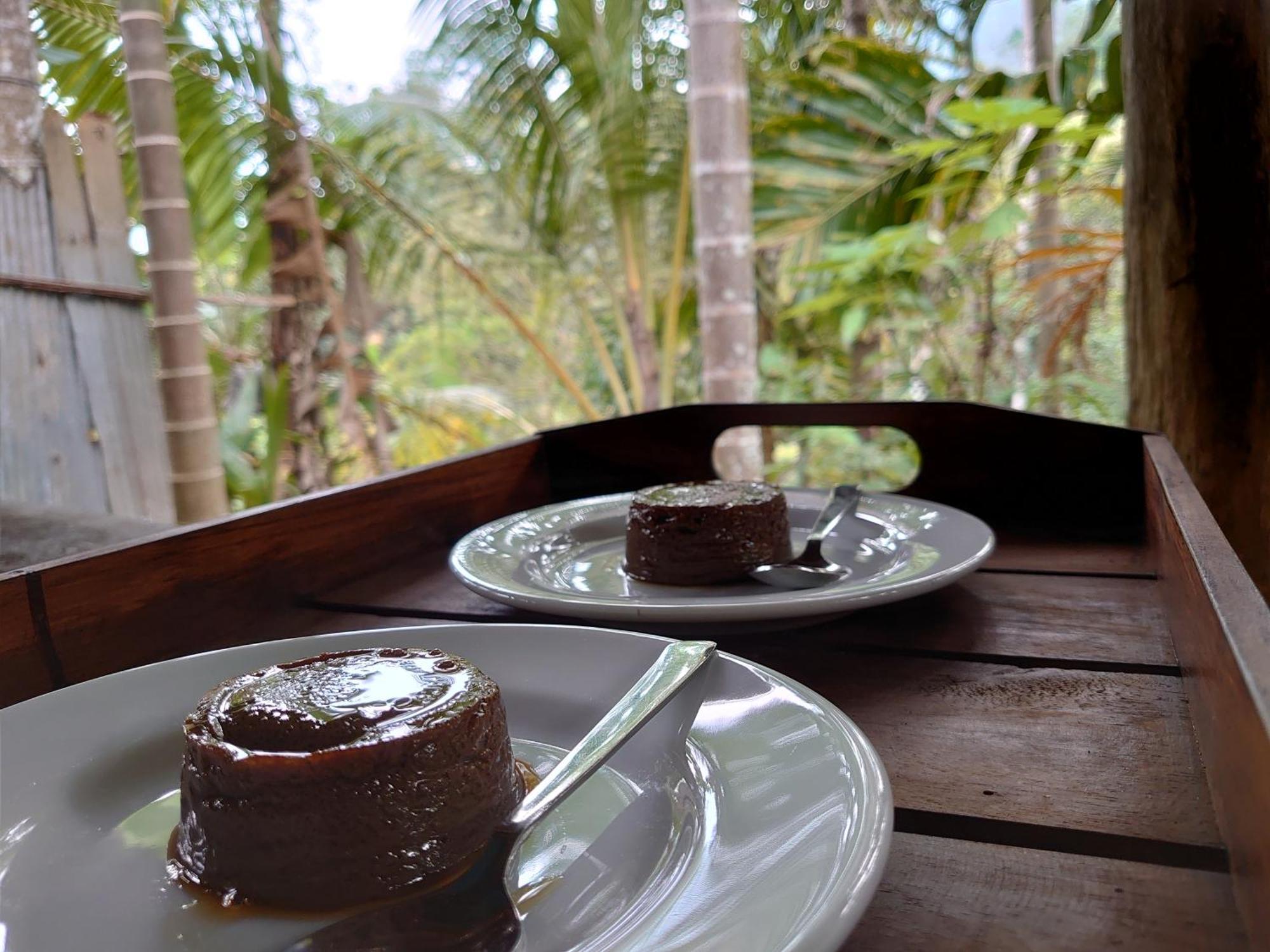 Rainforest Cabin Deniyaya Dış mekan fotoğraf