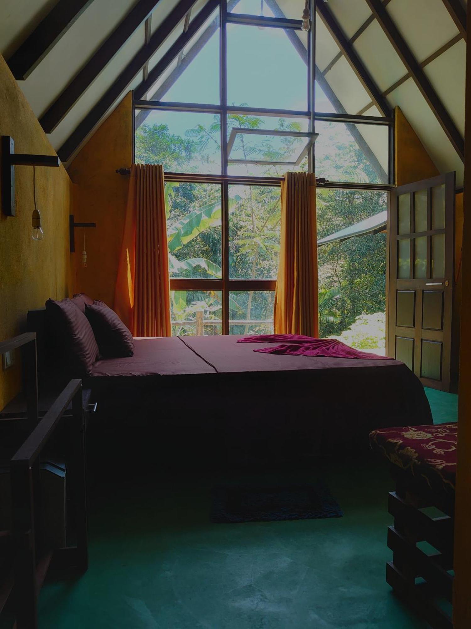 Rainforest Cabin Deniyaya Dış mekan fotoğraf