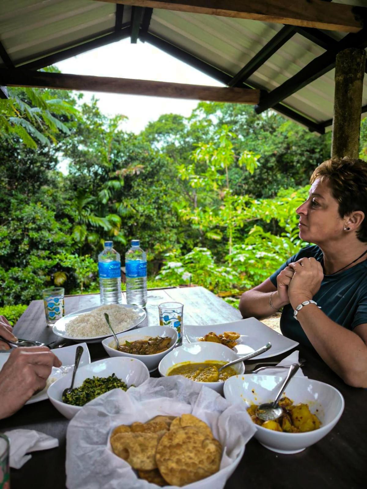 Rainforest Cabin Deniyaya Dış mekan fotoğraf