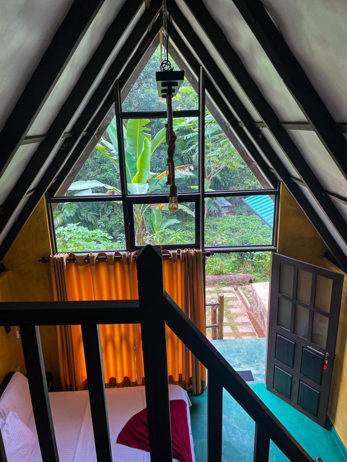 Rainforest Cabin Deniyaya Dış mekan fotoğraf