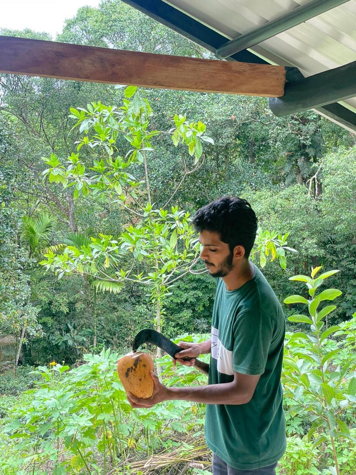 Rainforest Cabin Deniyaya Dış mekan fotoğraf