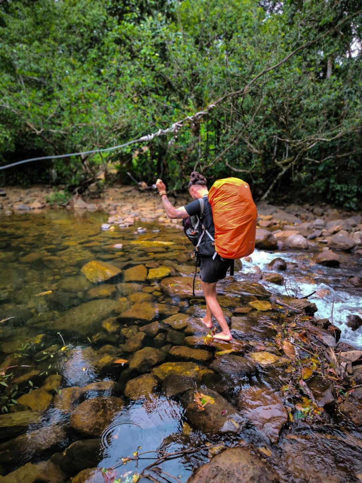 Rainforest Cabin Deniyaya Dış mekan fotoğraf