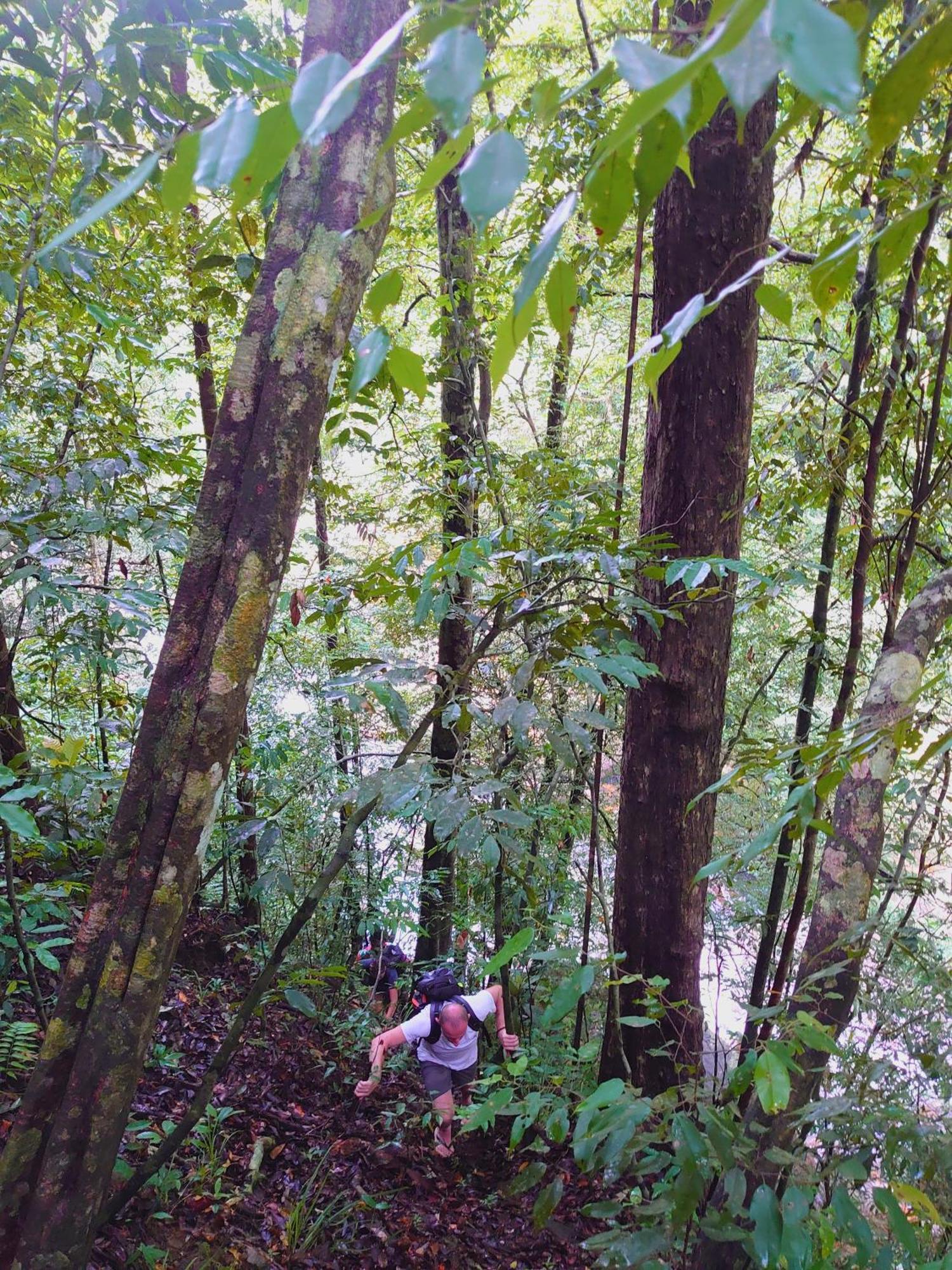 Rainforest Cabin Deniyaya Dış mekan fotoğraf