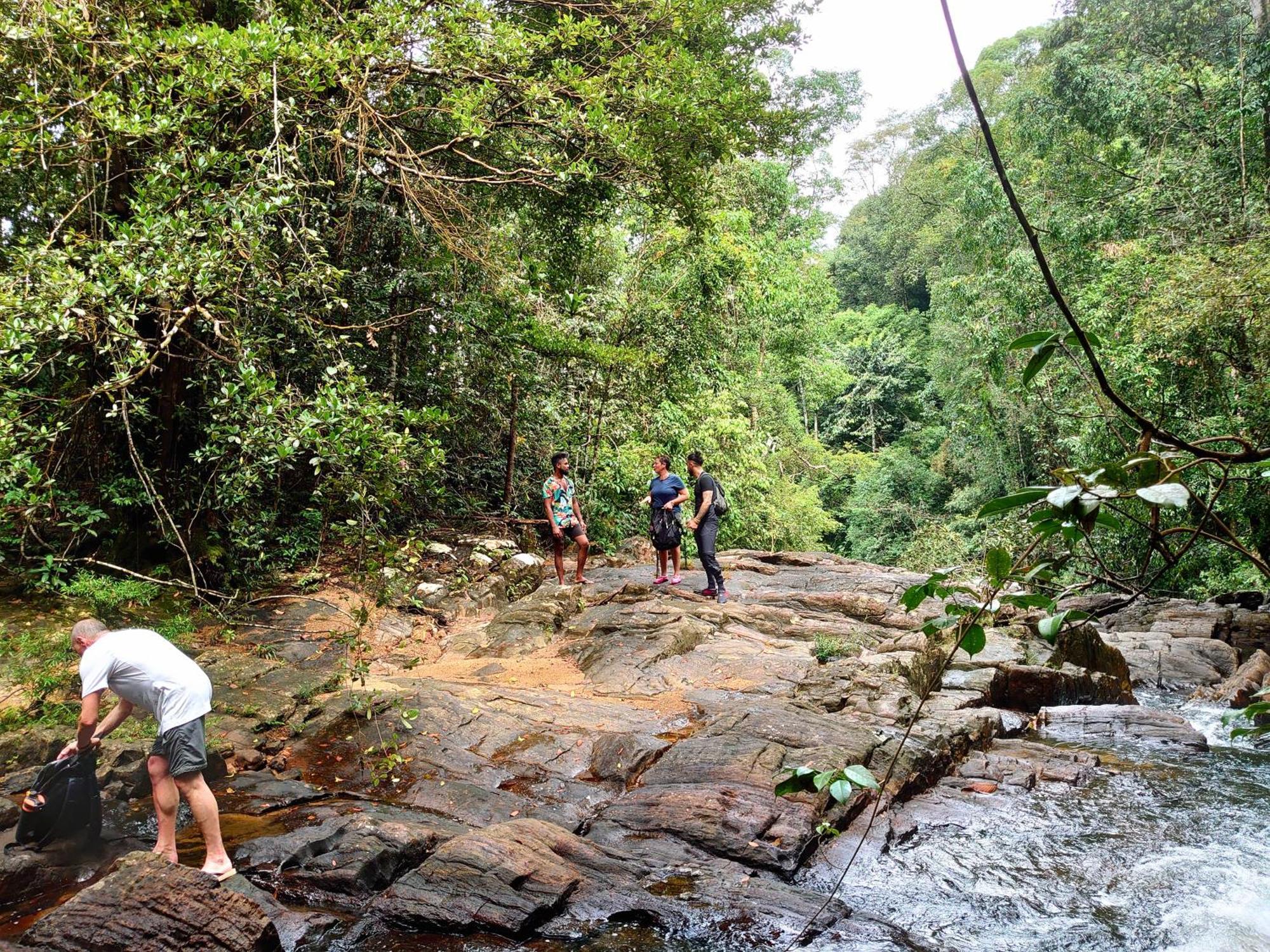 Rainforest Cabin Deniyaya Dış mekan fotoğraf