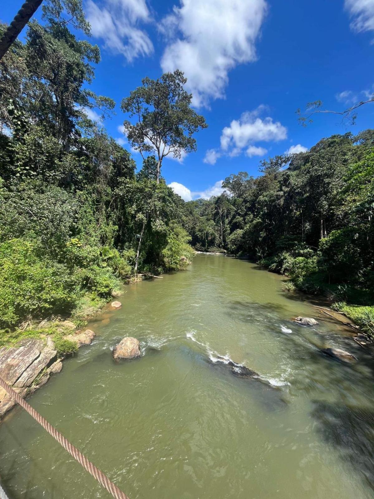 Rainforest Cabin Deniyaya Dış mekan fotoğraf