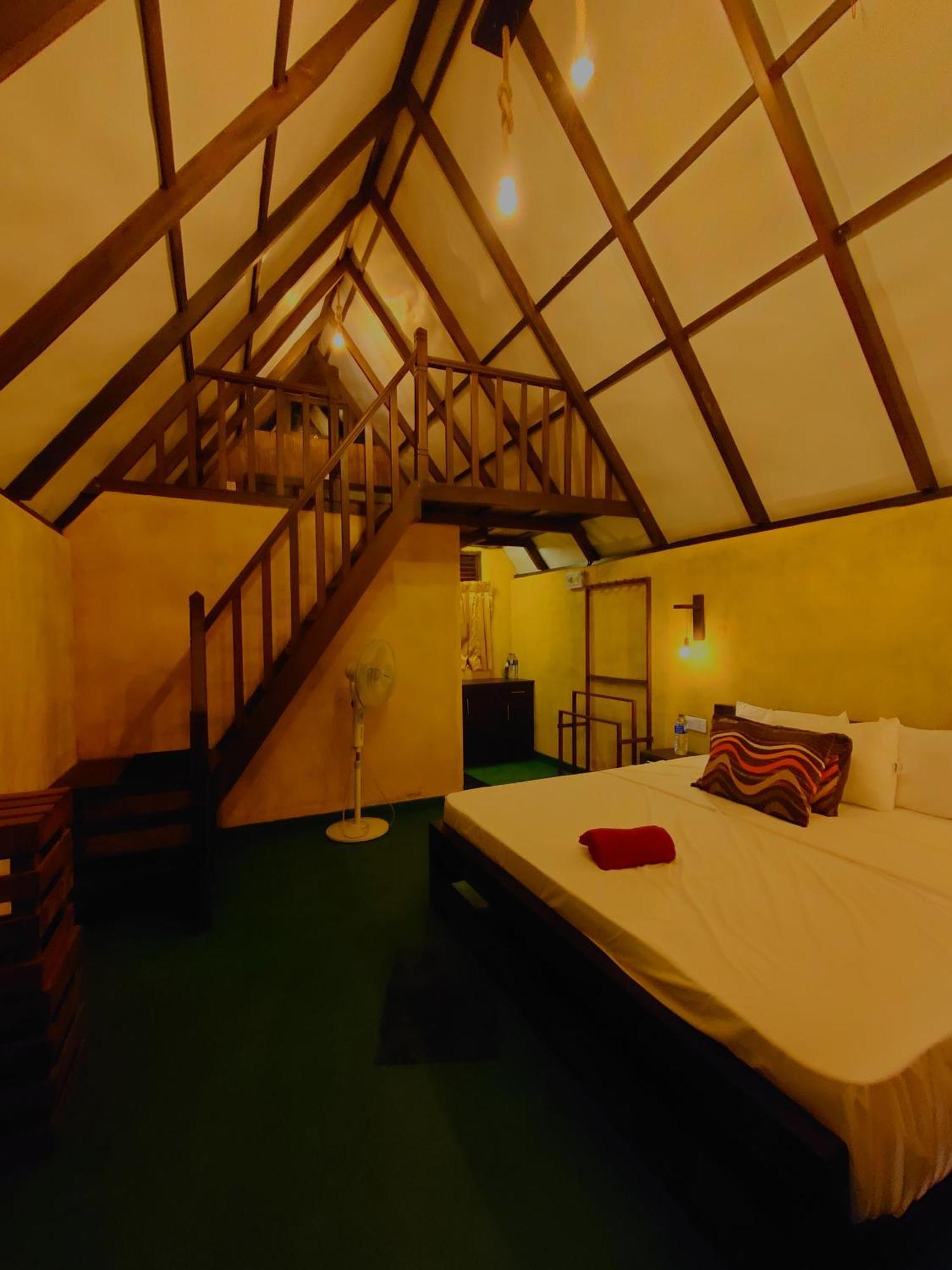 Rainforest Cabin Deniyaya Dış mekan fotoğraf