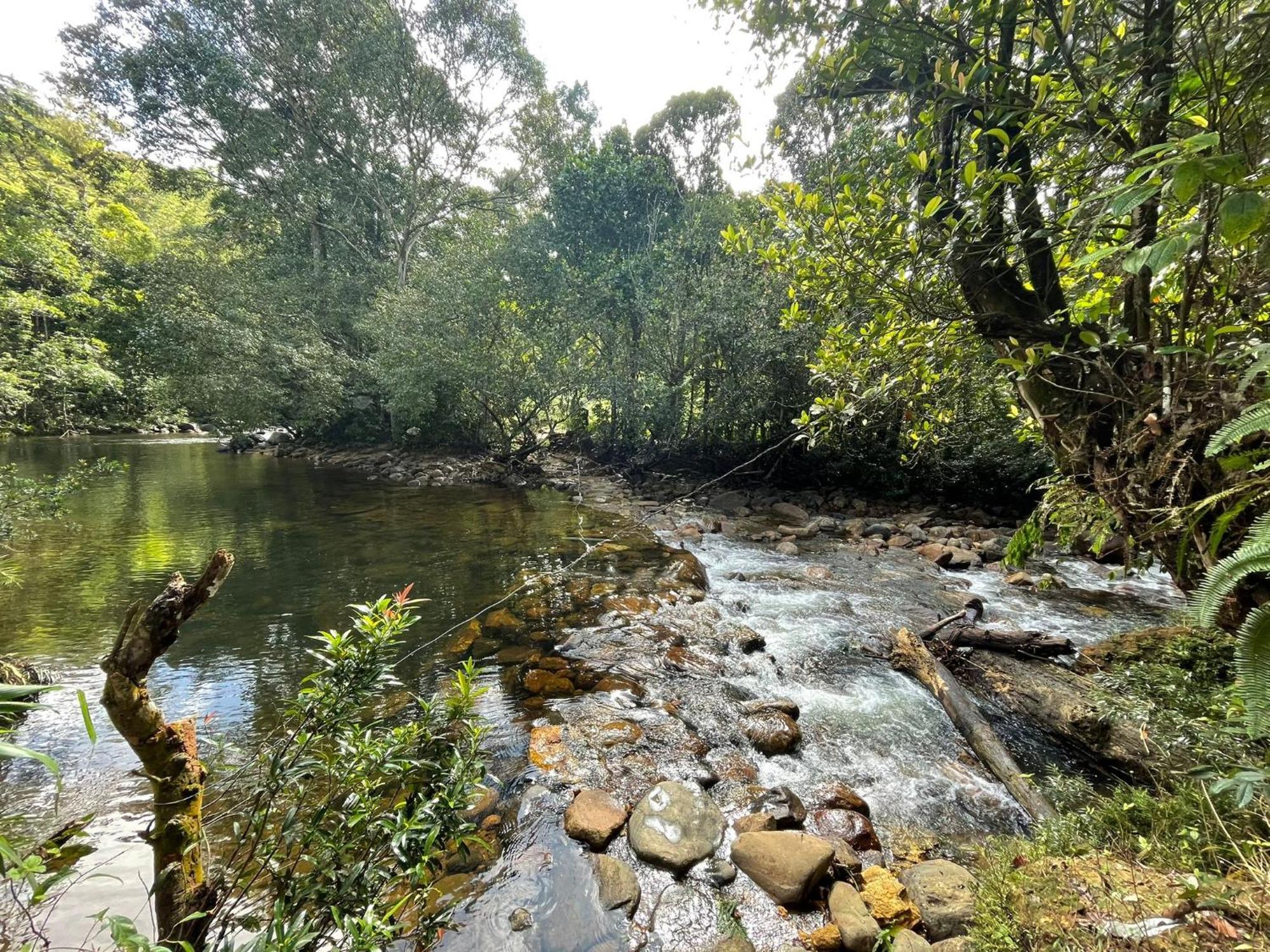Rainforest Cabin Deniyaya Dış mekan fotoğraf
