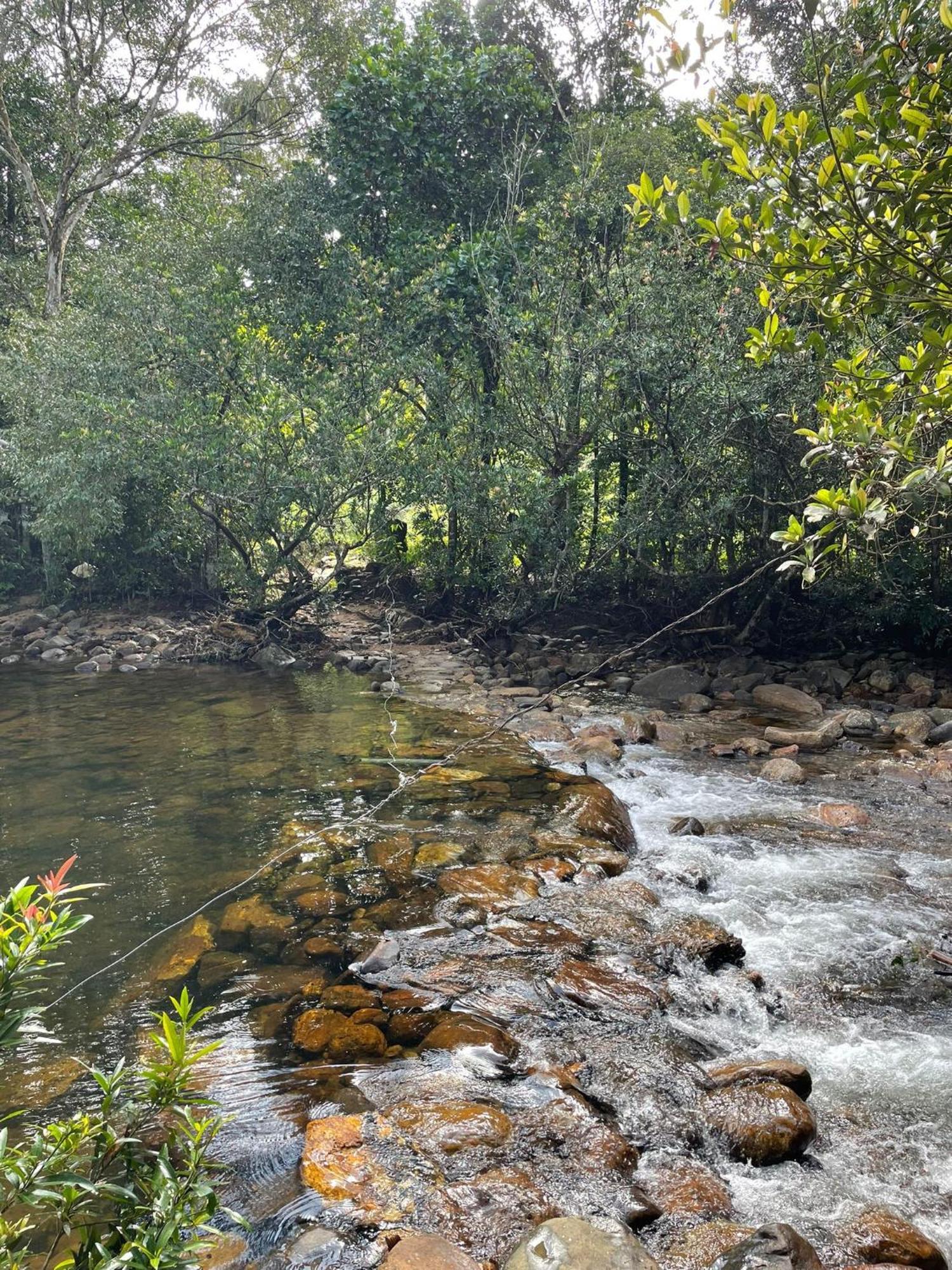 Rainforest Cabin Deniyaya Dış mekan fotoğraf