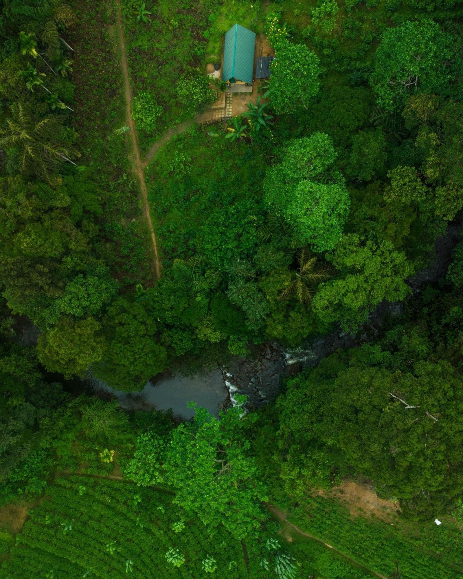 Rainforest Cabin Deniyaya Dış mekan fotoğraf