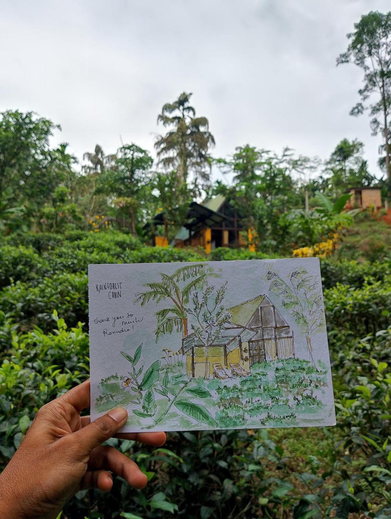 Rainforest Cabin Deniyaya Dış mekan fotoğraf