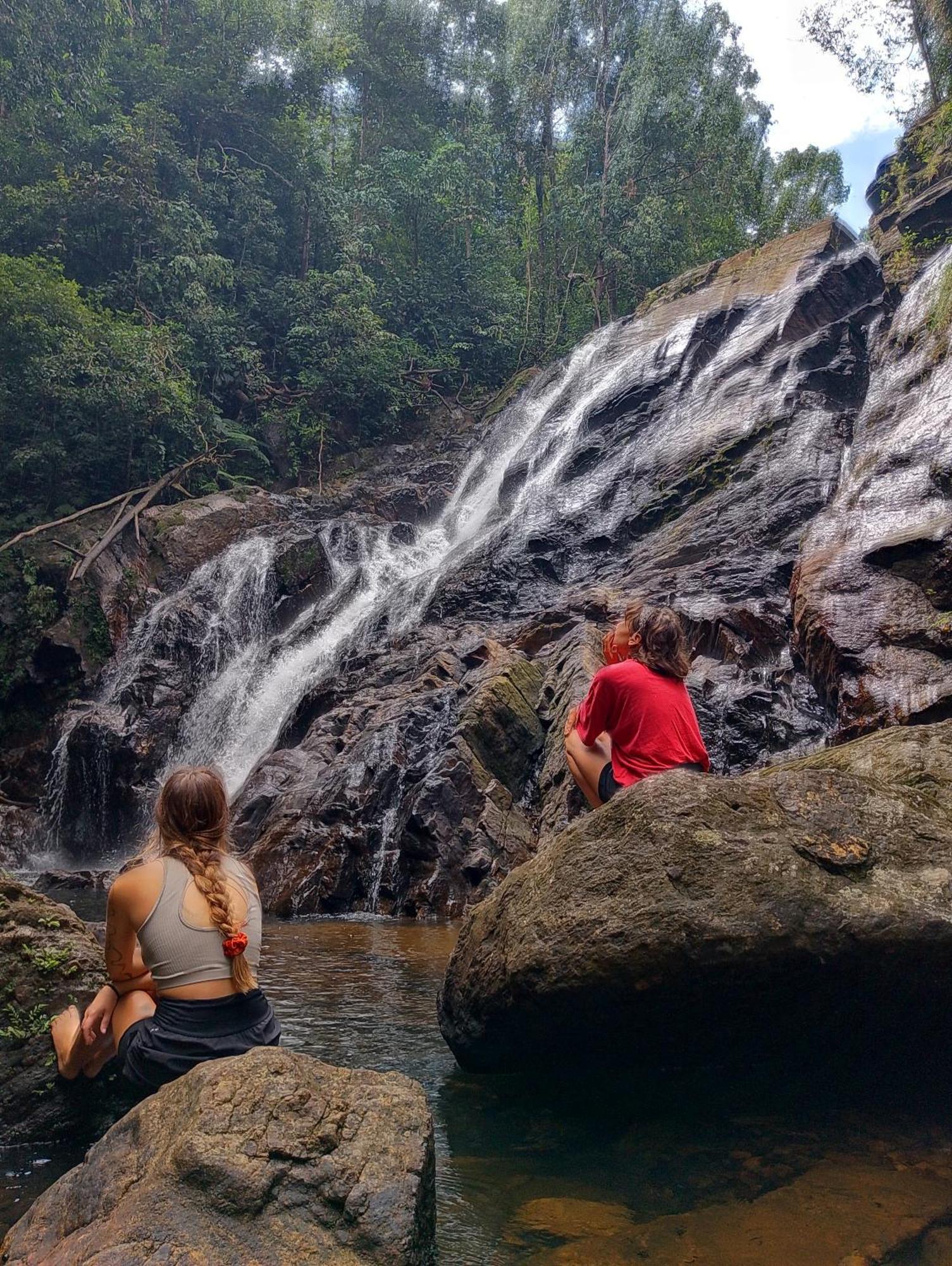 Rainforest Cabin Deniyaya Dış mekan fotoğraf