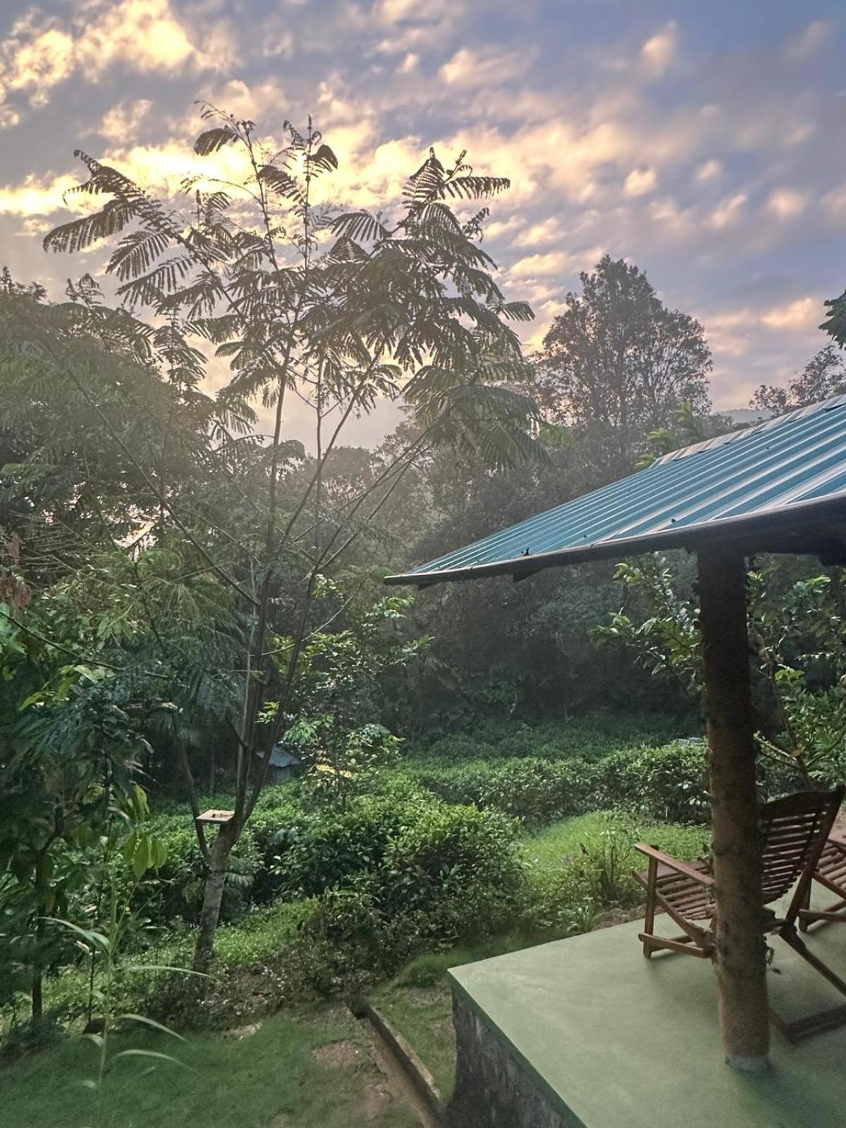 Rainforest Cabin Deniyaya Dış mekan fotoğraf