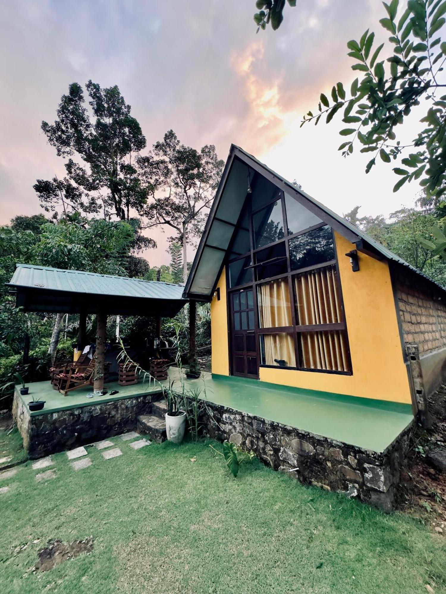 Rainforest Cabin Deniyaya Dış mekan fotoğraf