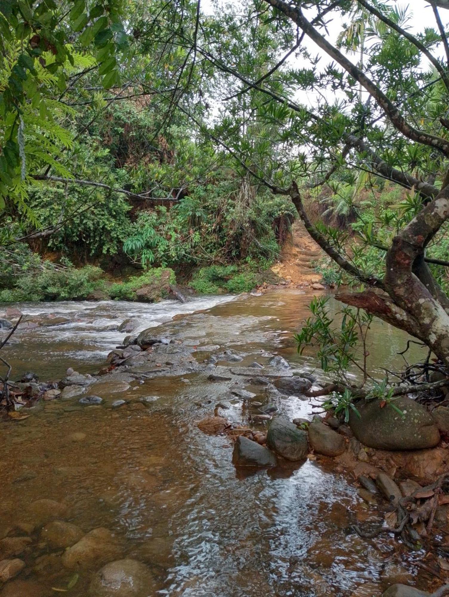 Rainforest Cabin Deniyaya Dış mekan fotoğraf